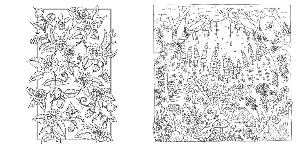 Weitere Ansicht: Wundervolle Wildblumen | Johanna Basford, @Johannabasford