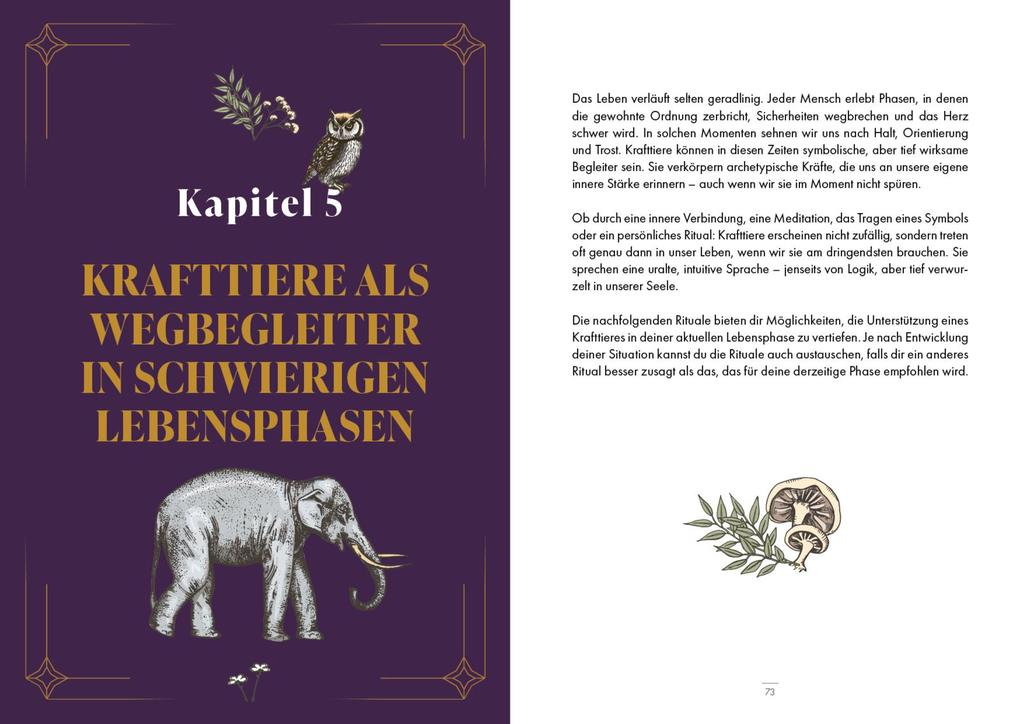 Weitere Ansicht: Krafttiere - Gefährten der Seele | Caroline Deiß