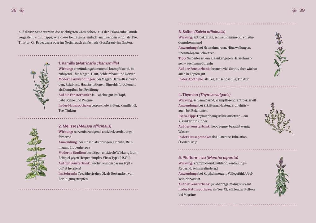 Weitere Ansicht: Herbal Healing - Medizin aus der Natur | Melanie Wenzel