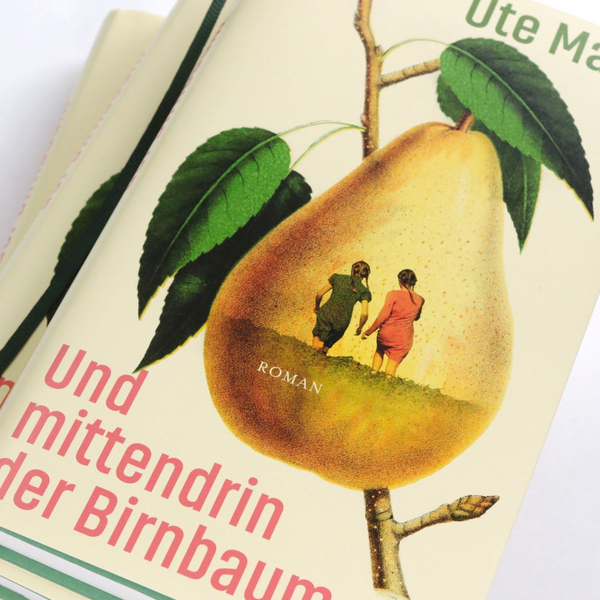 Weitere Ansicht: Und mittendrin der Birnbaum | Ute Mank