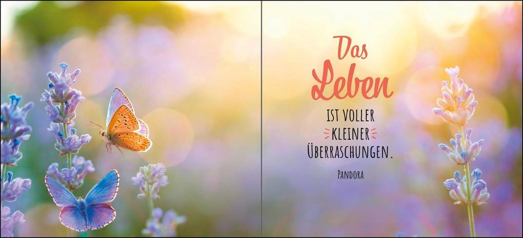 Weitere Ansicht: Ich schenke dir ein Stück vom Glück | Julia Buck