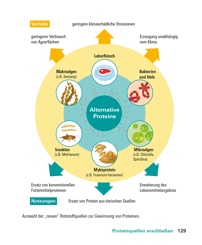Weitere Ansicht: Proteine und Aminosäuren | Angela Bechthold
