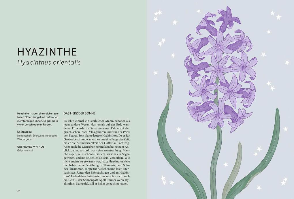 Weitere Ansicht: Die Welt der Blumen | Alison Davies