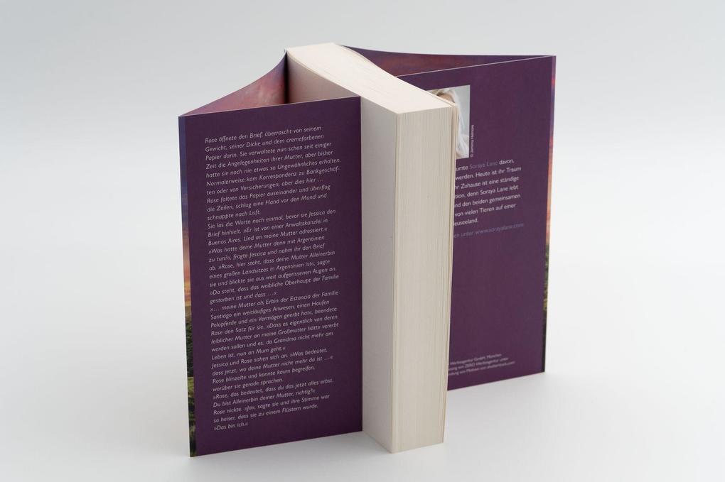 Weitere Ansicht: Die verlassene Tochter | Soraya Lane