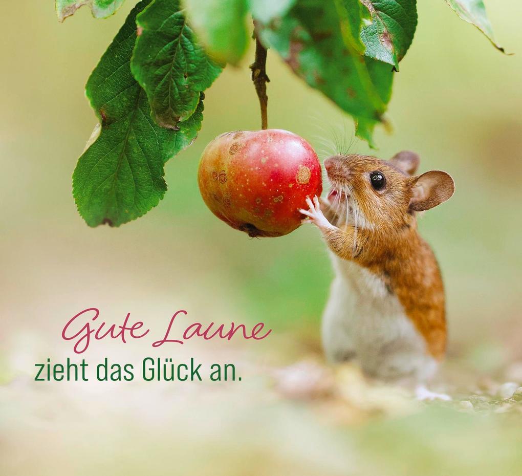 Weitere Ansicht: Kleine Glücksbringer für dich | Julian Rad