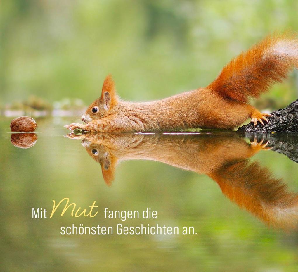 Weitere Ansicht: Kleine Glücksbringer für dich | Julian Rad