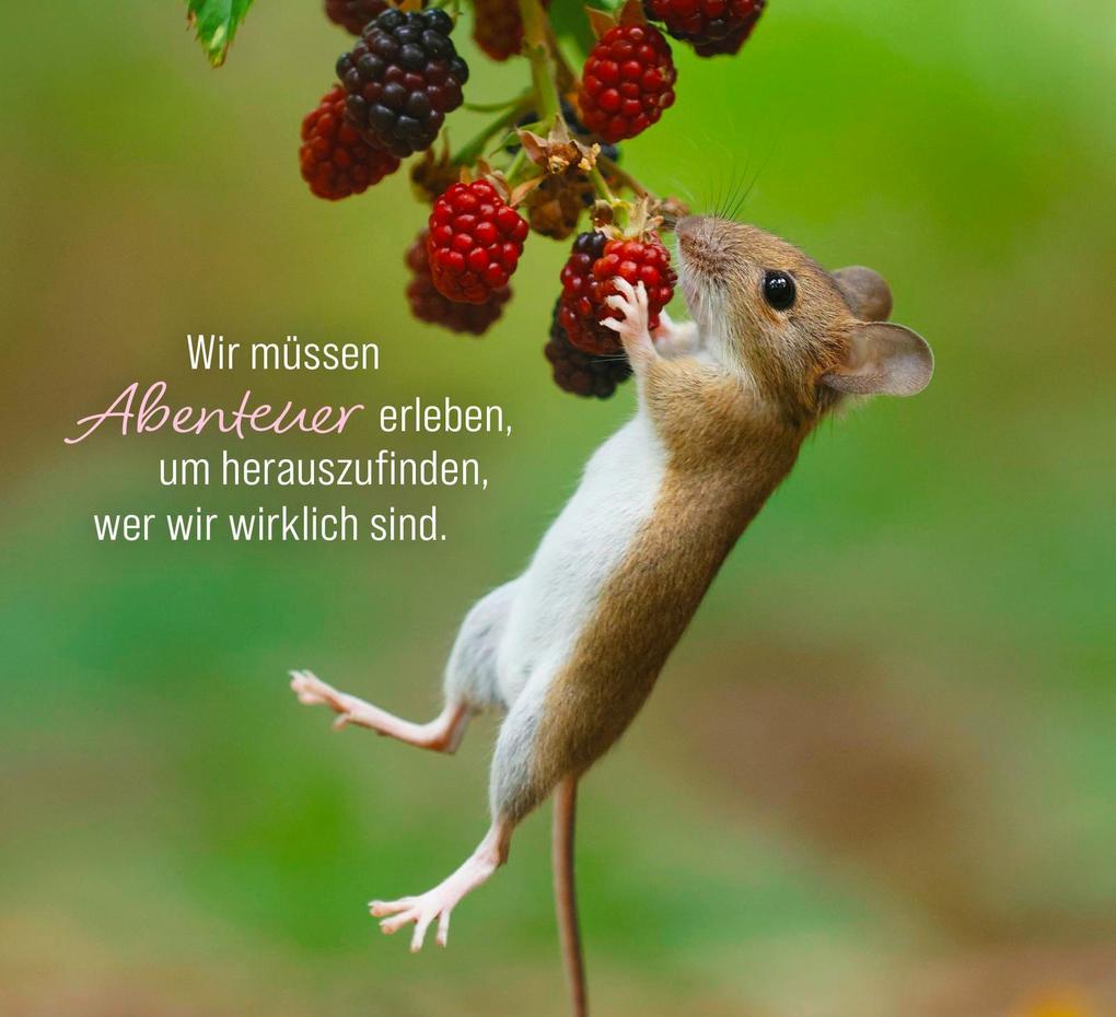 Weitere Ansicht: Kleine Glücksbringer für dich | Julian Rad