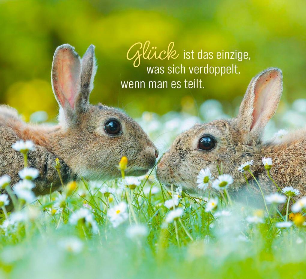 Weitere Ansicht: Kleine Glücksbringer für dich | Julian Rad