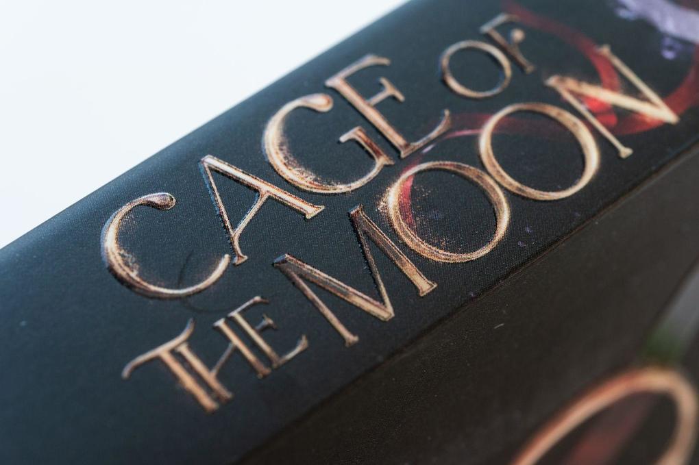 Weitere Ansicht: Cage of the Moon | Noah Stoffers