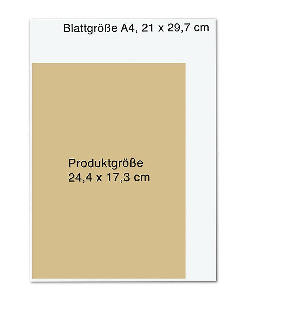 Weitere Ansicht: Die Chroniken der Unterwelt. City of Ashes | Cassandra Clare