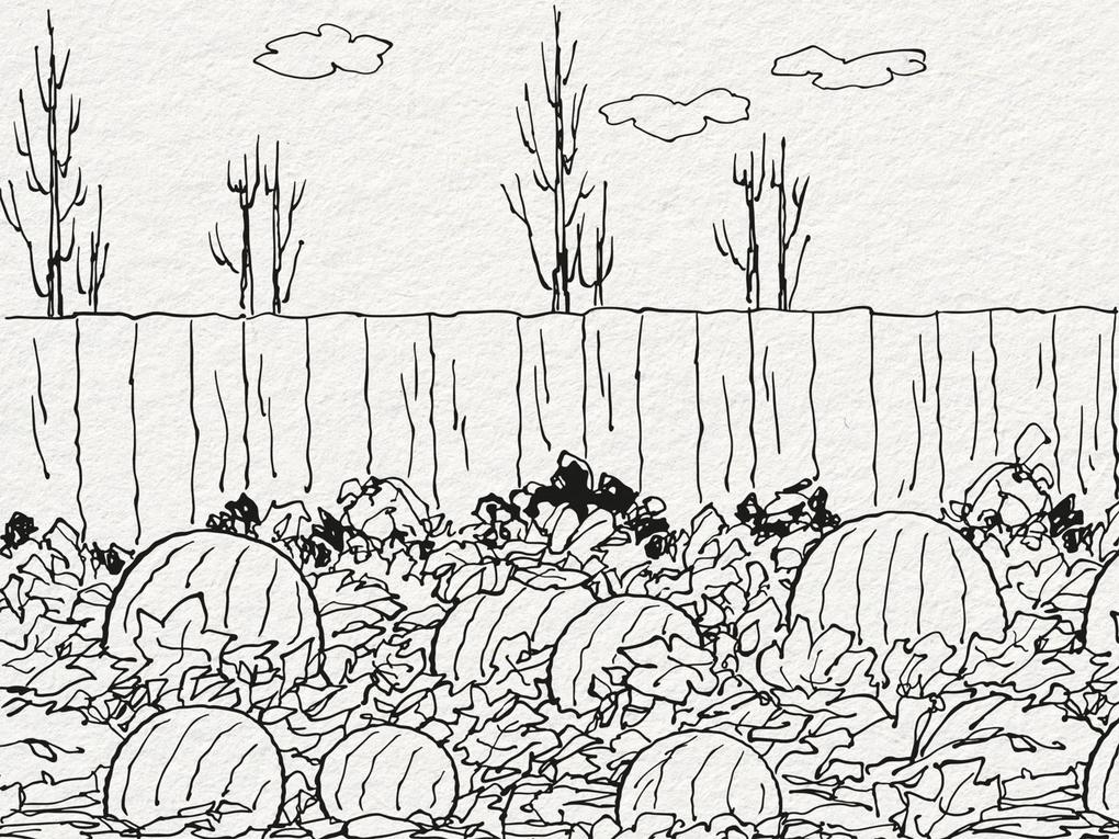 Weitere Ansicht: Das Beste der Peanuts | Charles M. Schulz