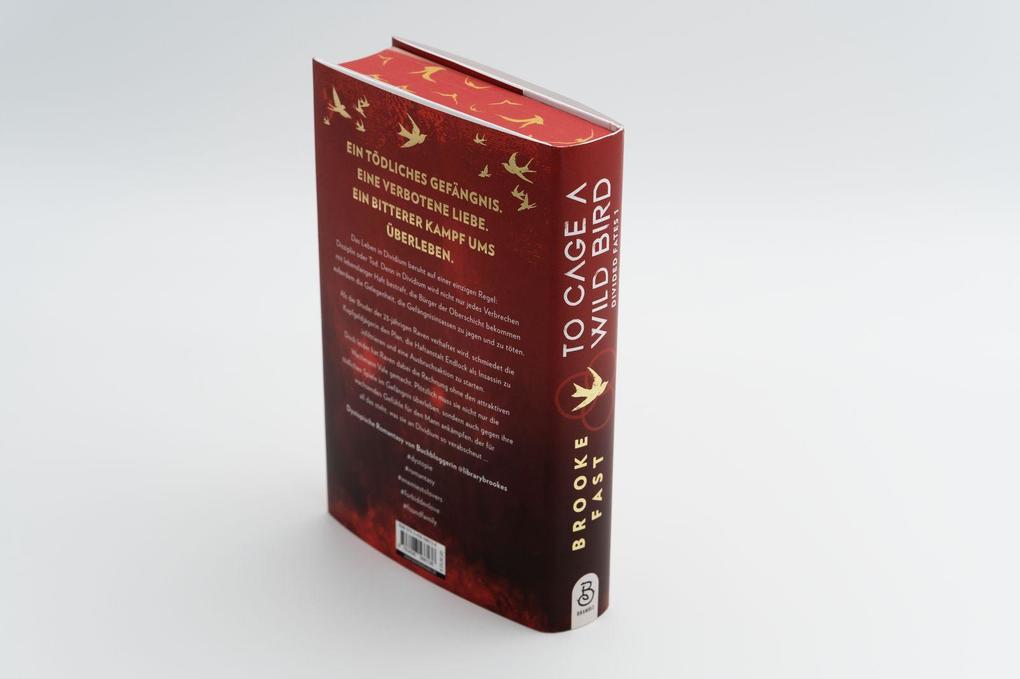 Weitere Ansicht: To Cage a Wild Bird | Brooke Fast