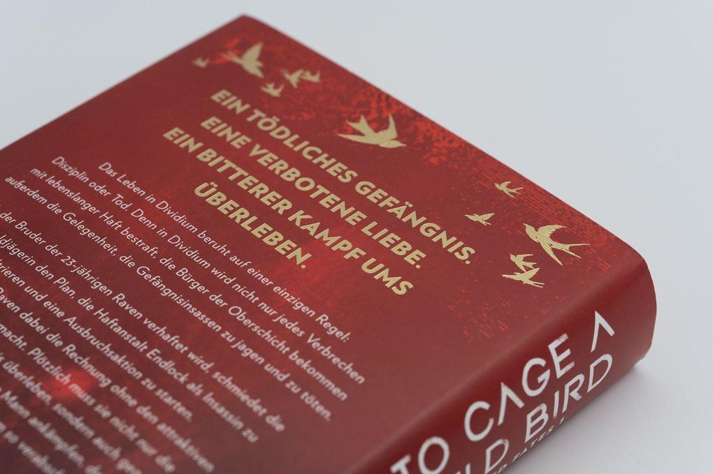 Weitere Ansicht: To Cage a Wild Bird | Brooke Fast