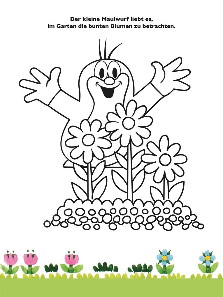 Weitere Ansicht: Der kleine Maulwurf: Mein liebstes Stickerbuch