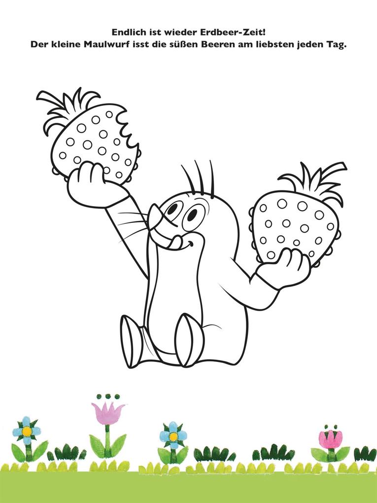 Weitere Ansicht: Der kleine Maulwurf: Mein liebstes Stickerbuch