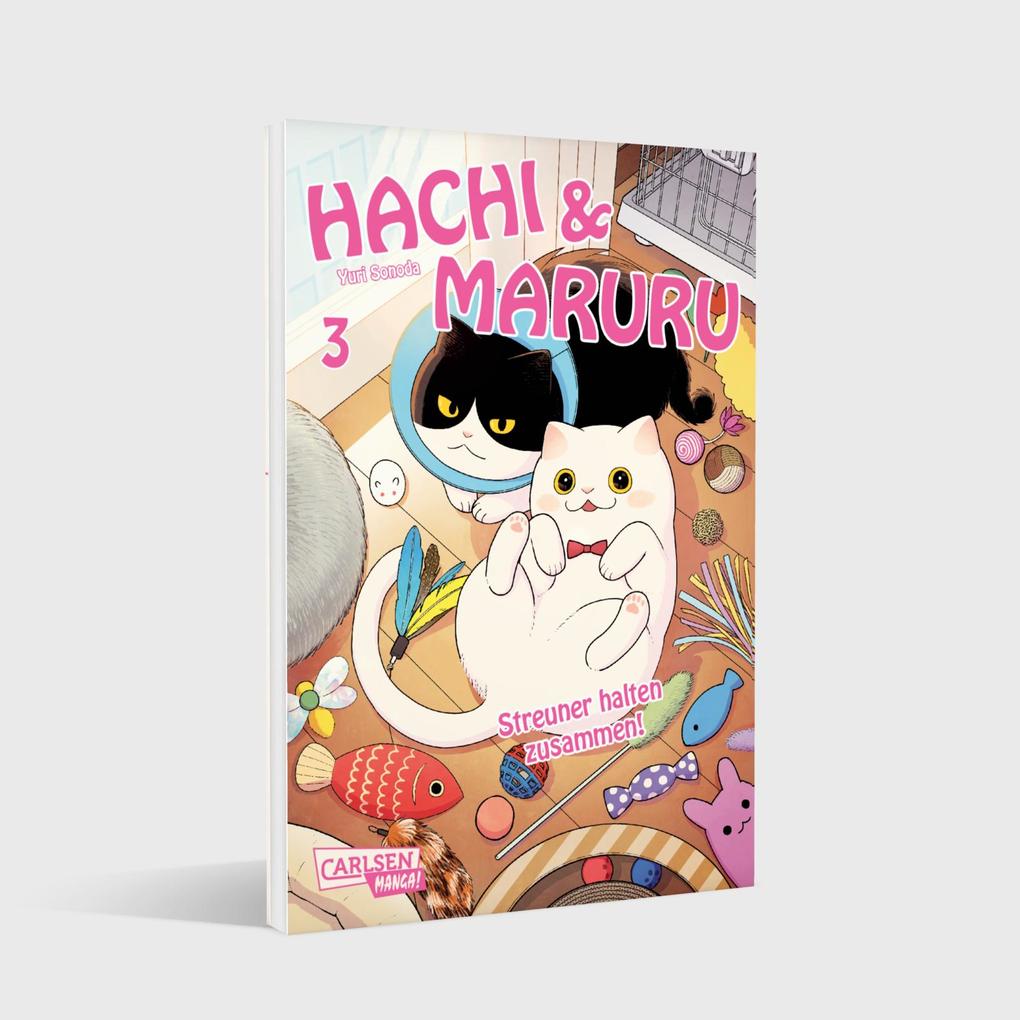 Weitere Ansicht: Hachi & Maruru - Streuner halten zusammen! 3 | Yuri Sonoda