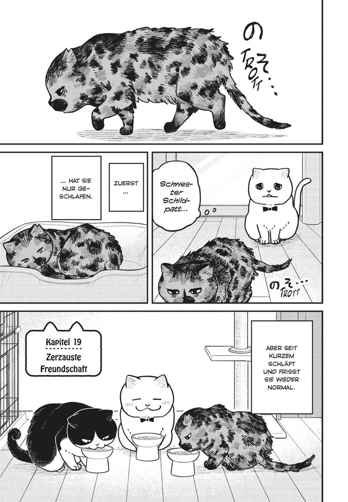 Weitere Ansicht: Hachi & Maruru - Streuner halten zusammen! 3 | Yuri Sonoda