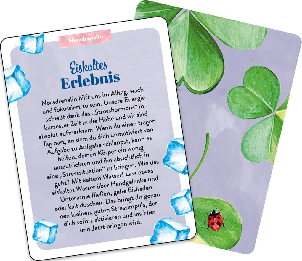 Weitere Ansicht: Inspirationskarten: Aktiviere deine Glücksgefühle | Julia Buck