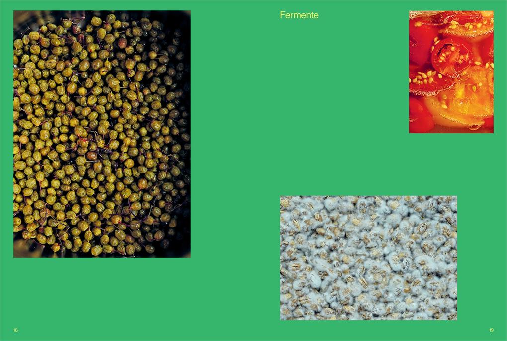 Weitere Ansicht: Fermentiert | Christoph Marx, Lennart Wiese