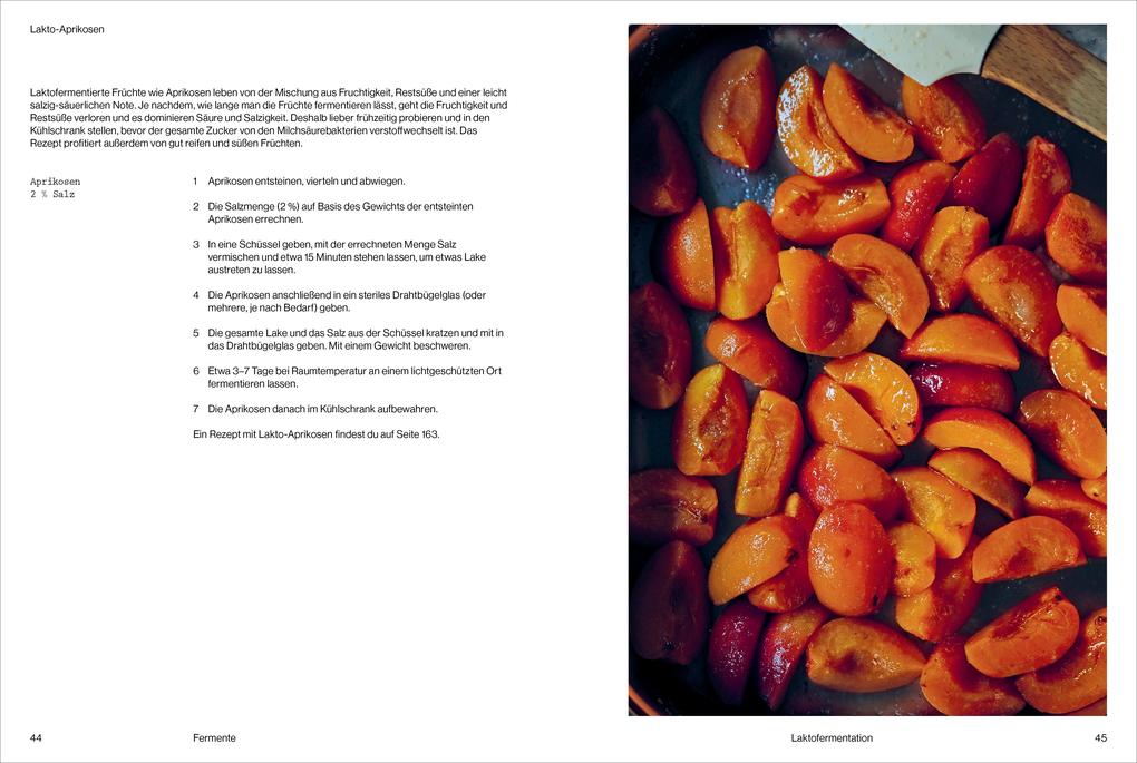 Weitere Ansicht: Fermentiert | Christoph Marx, Lennart Wiese