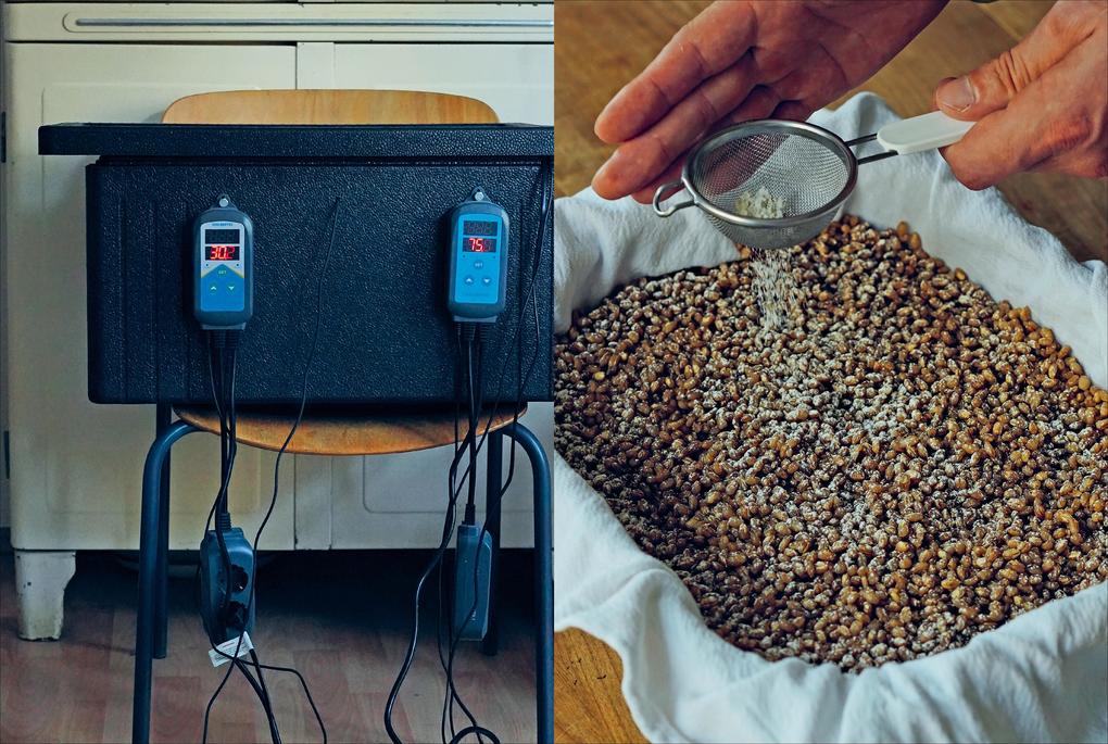 Weitere Ansicht: Fermentiert | Christoph Marx, Lennart Wiese