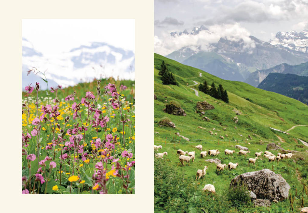 Weitere Ansicht: Fromage | Claude Luisier