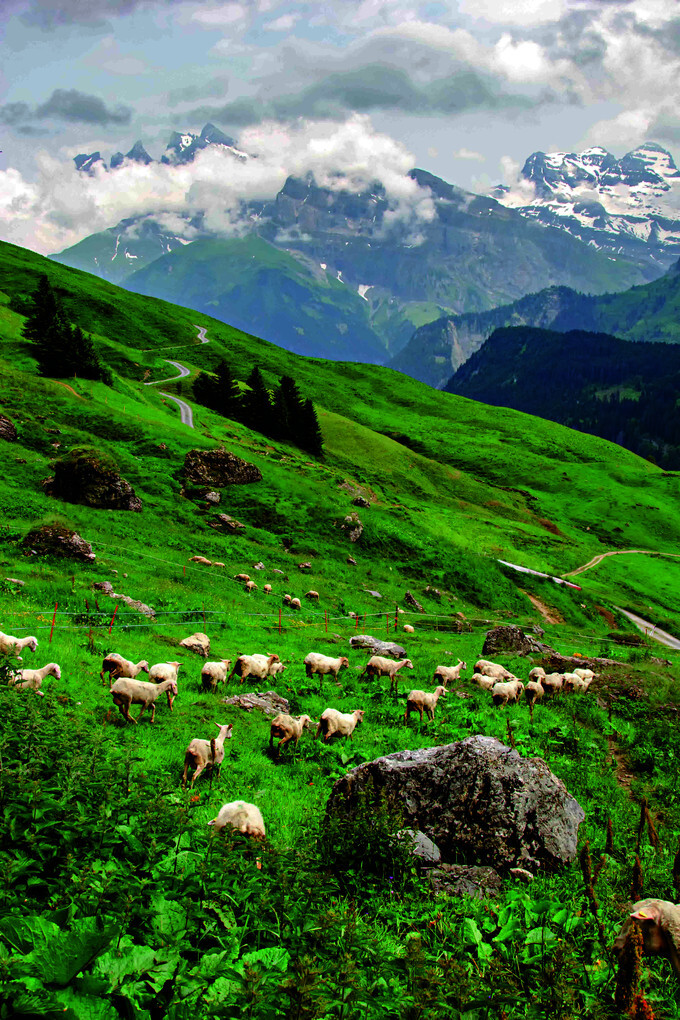 Weitere Ansicht: Fromage | Claude Luisier