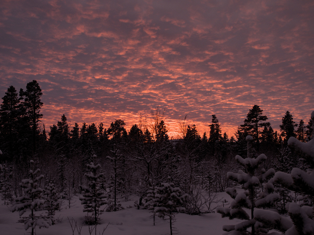 Weitere Ansicht: Weihnachtszeit in Lappland | Annika Rask