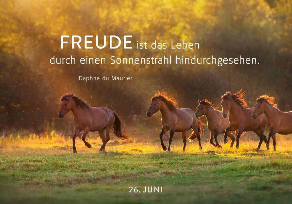 Weitere Ansicht: 365 Lichtmomente