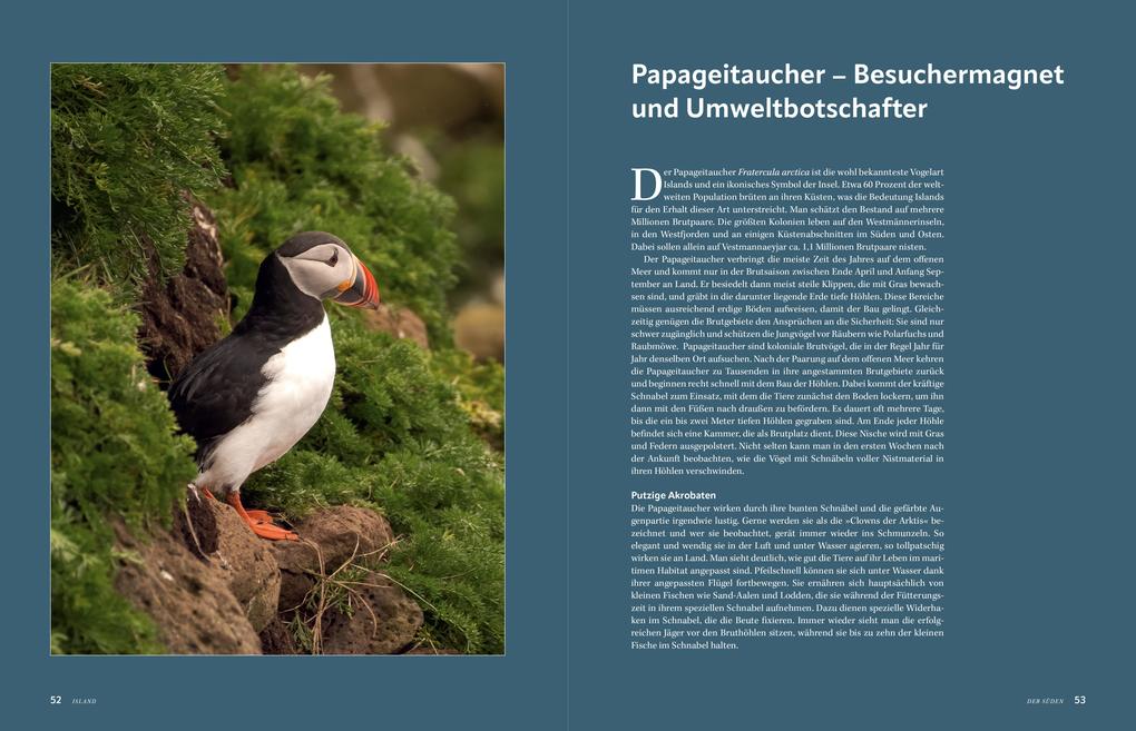 Weitere Ansicht: Island | Yannick Scherthan, Oliver Schwenn