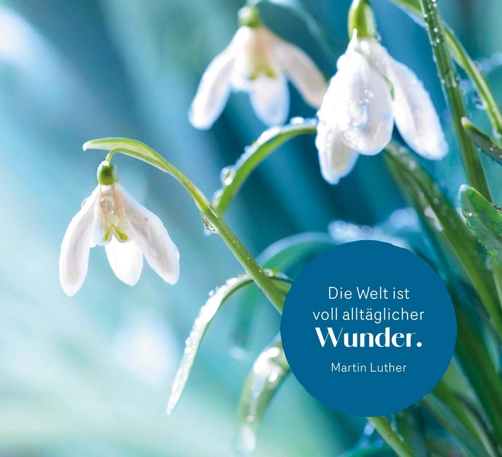 Weitere Ansicht: Wahre Stärke kommt von innen