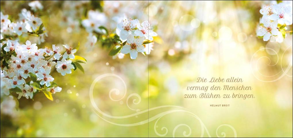 Weitere Ansicht: Zur Goldenen Hochzeit die besten Wünsche