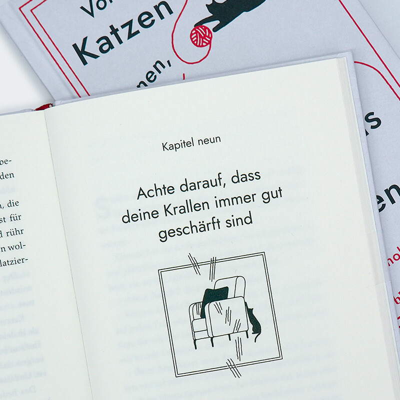 Weitere Ansicht: Von Katzen lernen, den Faschismus zu überstehen | Stewart Reynolds