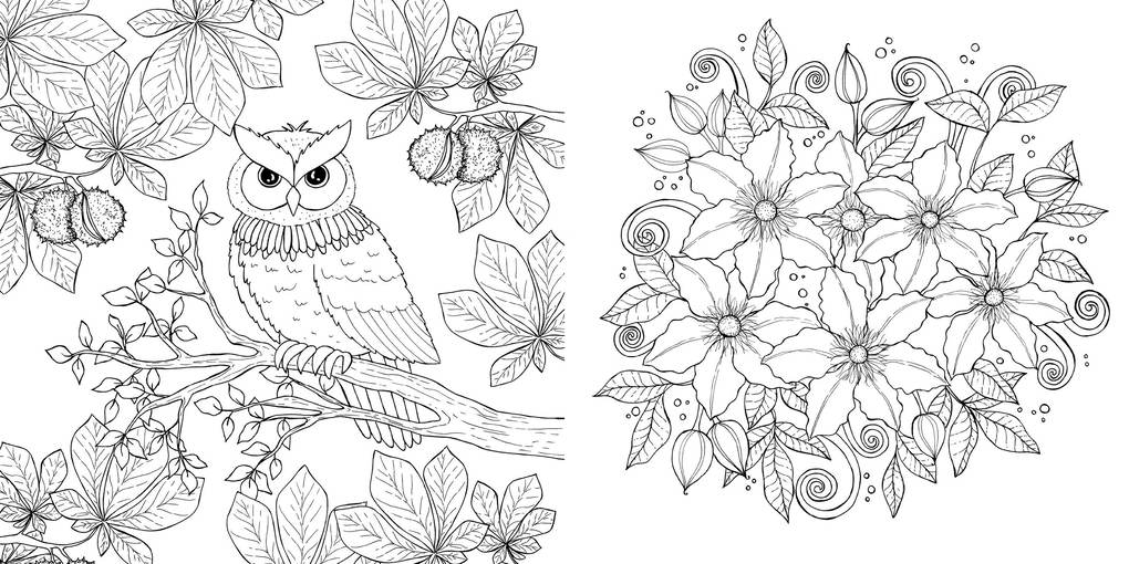 Weitere Ansicht: Waldgeflüster - Natur-Motive und Tiere ausmalen | Anastasia Sälinger