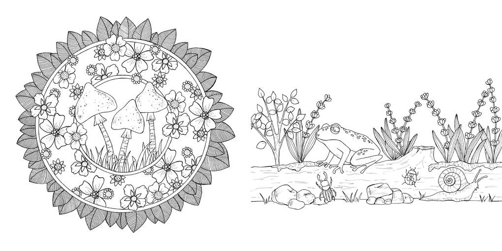 Weitere Ansicht: Waldgeflüster - Natur-Motive und Tiere ausmalen | Anastasia Sälinger