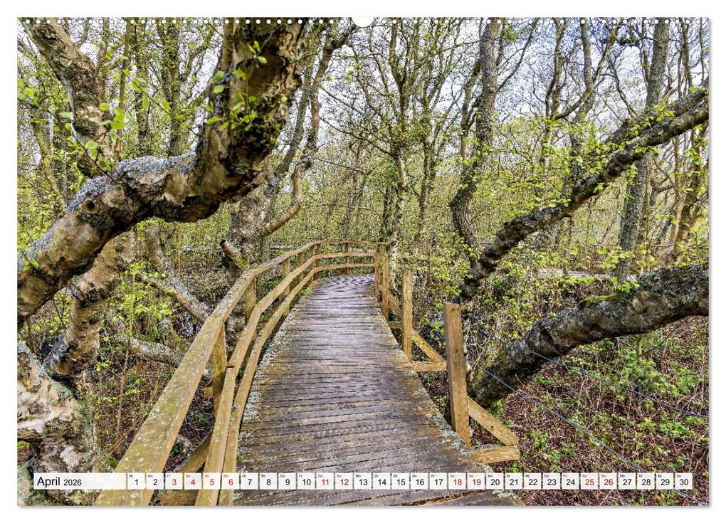 Weitere Ansicht: Inselbilder Amrum (hochwertiger Premium Wandkalender 2026 DIN A2 quer), Kunstdruck in Hochglanz | Bianka Bondiek, Calvendo