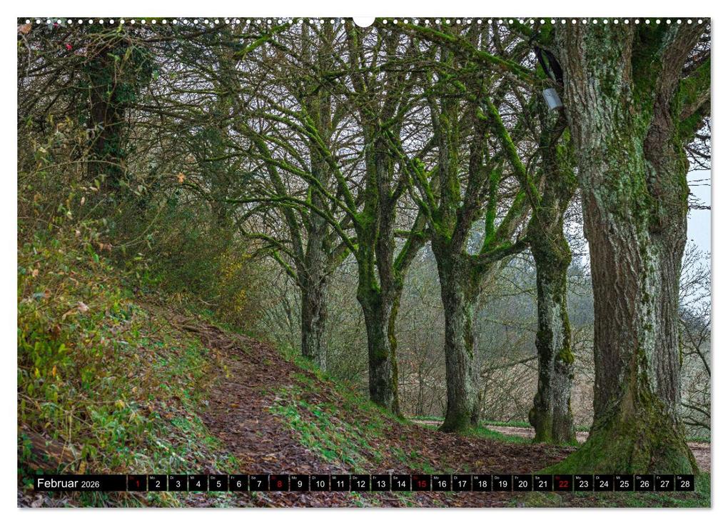 Weitere Ansicht: Herbst rund um den Bodensee (Wandkalender 2026 DIN A2 quer), CALVENDO Monatskalender | Giuseppe Di Domenico, Calvendo