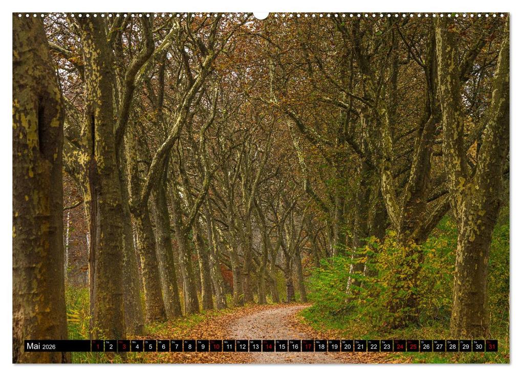 Weitere Ansicht: Herbst rund um den Bodensee (Wandkalender 2026 DIN A2 quer), CALVENDO Monatskalender | Giuseppe Di Domenico, Calvendo