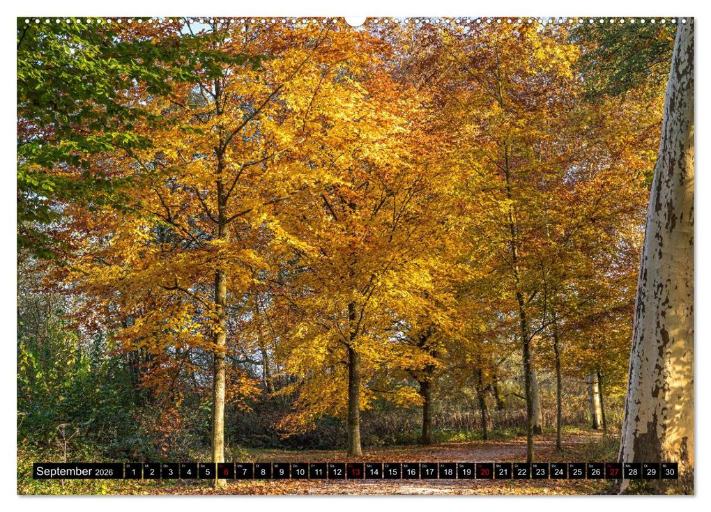 Weitere Ansicht: Herbst rund um den Bodensee (Wandkalender 2026 DIN A2 quer), CALVENDO Monatskalender | Giuseppe Di Domenico, Calvendo