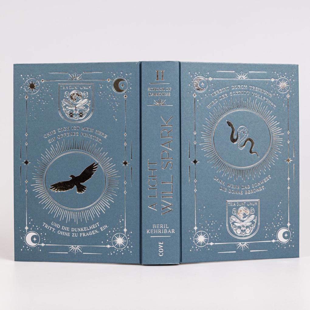 Weitere Ansicht: A Light Will Spark (School of Darkness 2) | Beril Kehribar