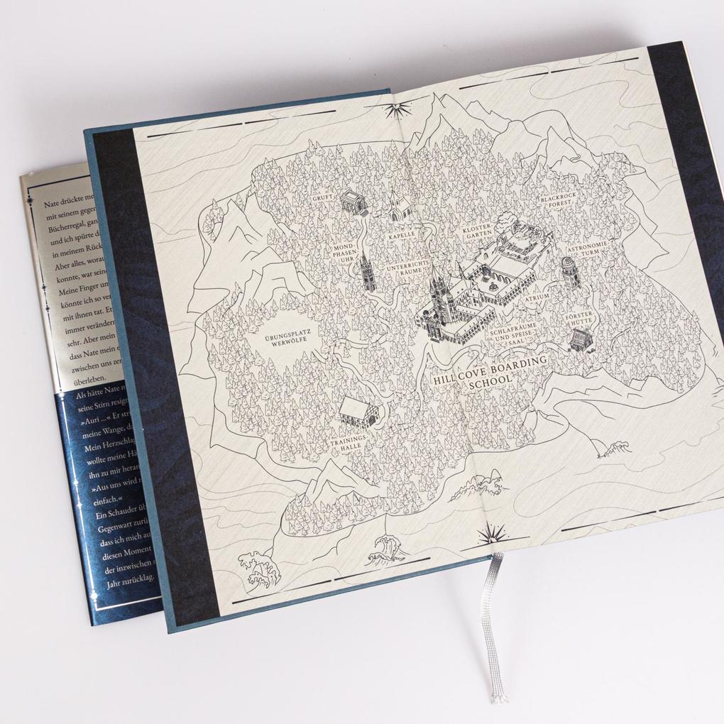 Weitere Ansicht: A Light Will Spark (School of Darkness 2) | Beril Kehribar