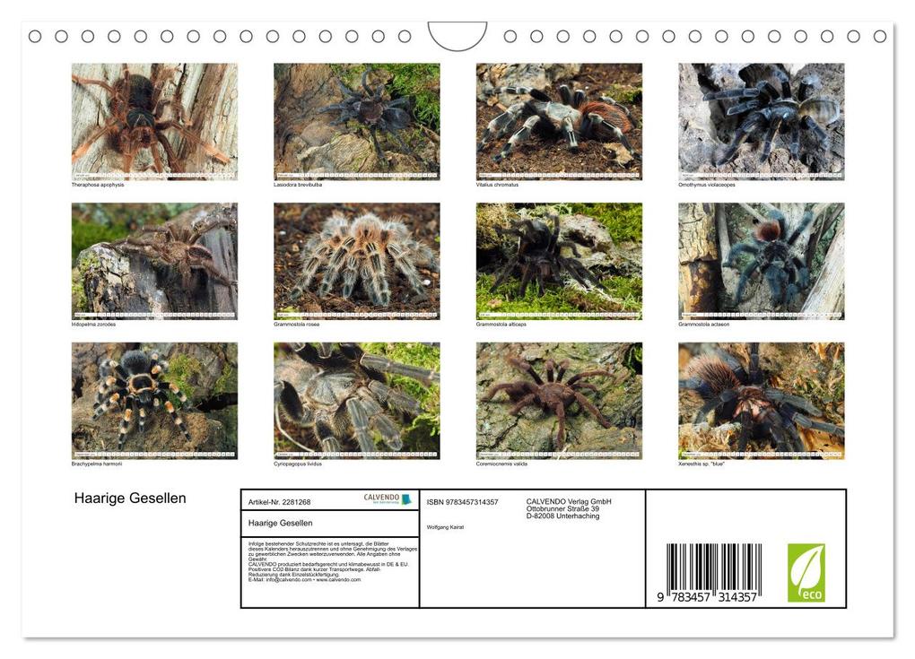 Weitere Ansicht: Haarige Gesellen (Wandkalender 2026 DIN A4 quer), CALVENDO Monatskalender | Wolfgang Kairat, Calvendo