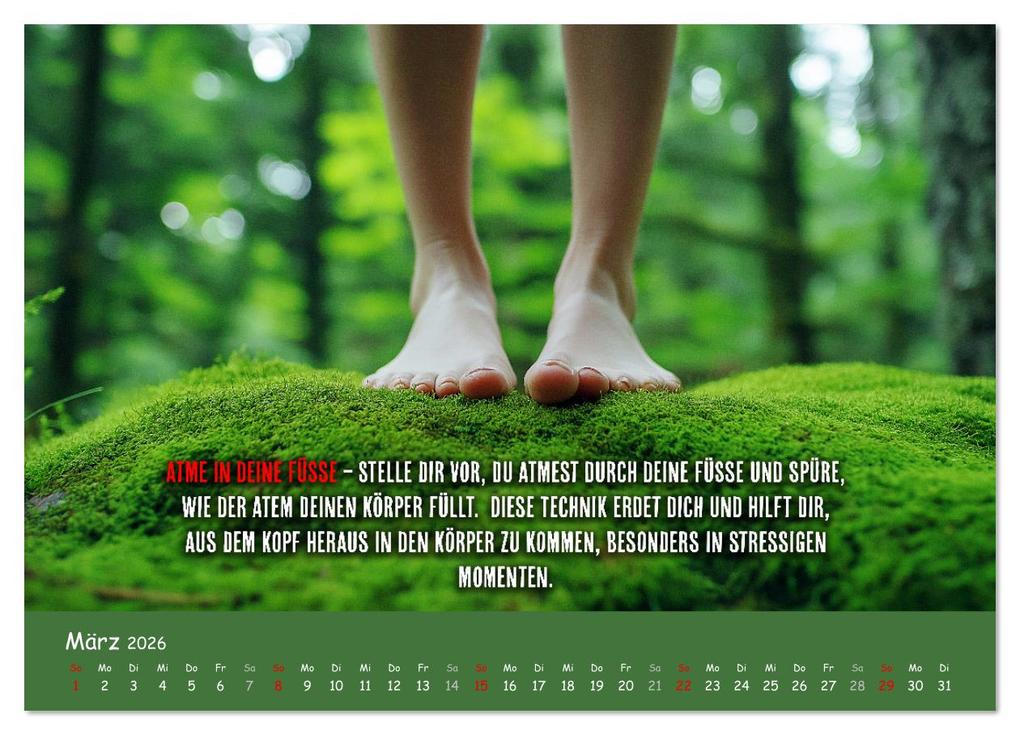 Weitere Ansicht: Dein Achtsamkeitskalender (Wandkalender 2026 DIN A4 quer), CALVENDO Monatskalender | MB Fotografie, Calvendo