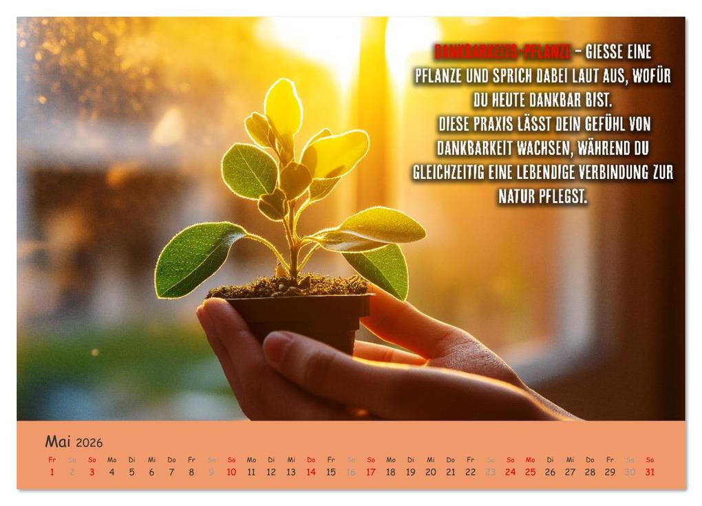 Weitere Ansicht: Dein Achtsamkeitskalender (Wandkalender 2026 DIN A4 quer), CALVENDO Monatskalender | MB Fotografie, Calvendo