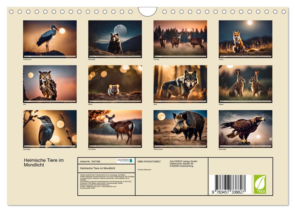 Weitere Ansicht: Heimische Tiere im Mondlicht (Wandkalender 2026 DIN A4 quer), CALVENDO Monatskalender | Claudia Kleemann, Calvendo