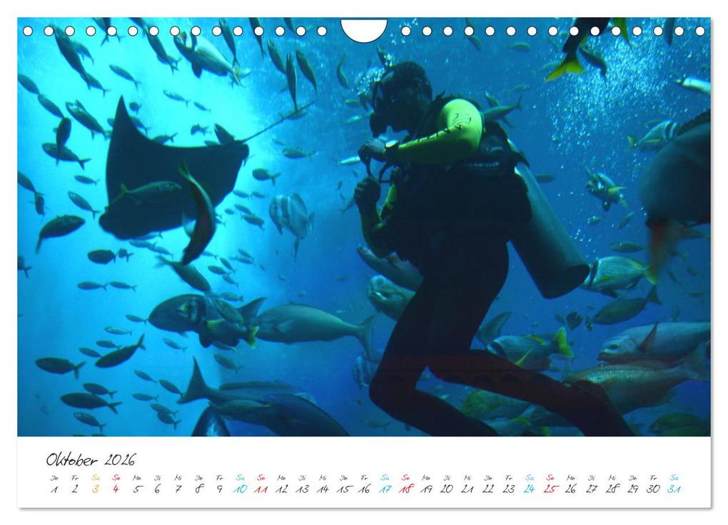 Weitere Ansicht: Dubai, die Stadt der Superlative. (Wandkalender 2026 DIN A4 quer), CALVENDO Monatskalender | Rufotos Rufotos, Calvendo, Rufotos