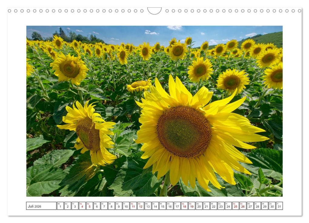 Weitere Ansicht: Bulgarien. Berge und Meer. (Wandkalender 2026 DIN A3 quer), CALVENDO Monatskalender | Markus Beck, Calvendo