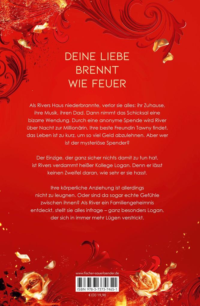 Weitere Ansicht: All We Lost Was Everything - Deine Liebe brennt wie Feuer | Sloan Harlow