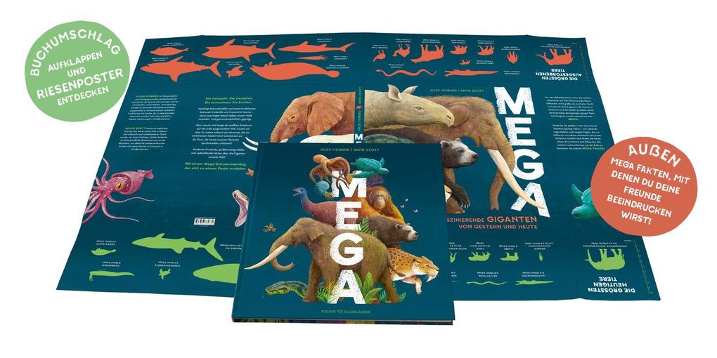 Weitere Ansicht: MEGA | Jules Howard