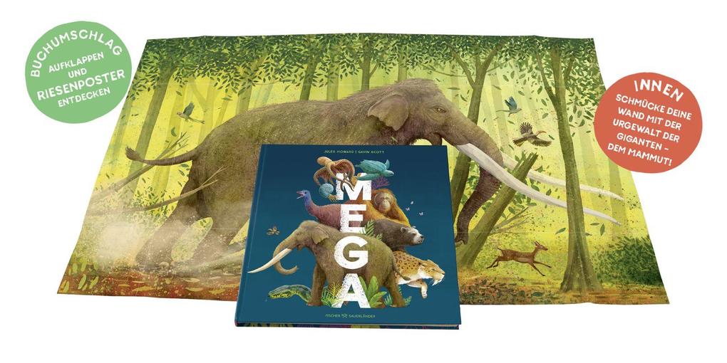 Weitere Ansicht: MEGA | Jules Howard